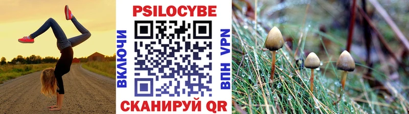 Псилоцибиновые грибы GOLDEN TEACHER Купить закладки Киреевск